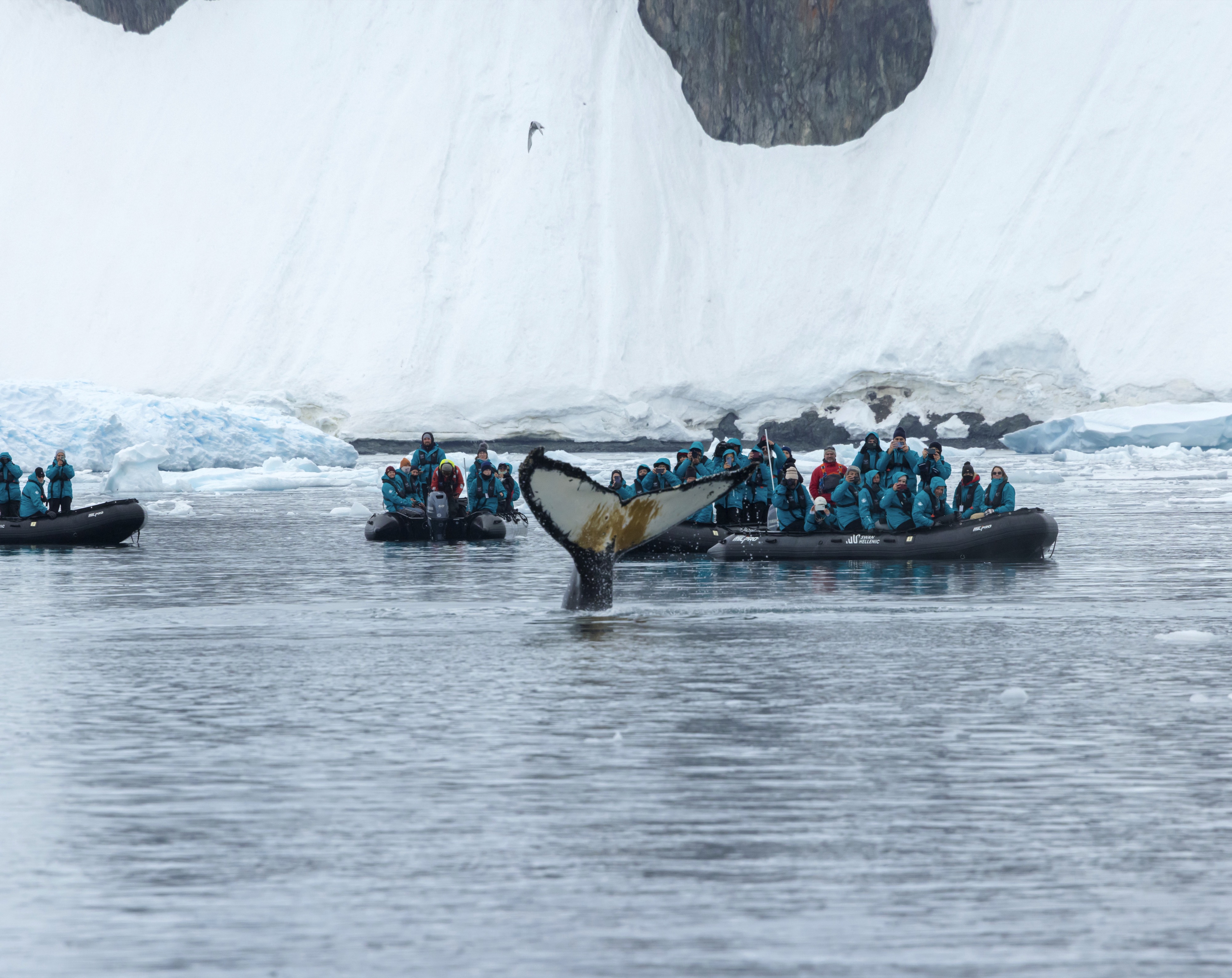 Excursions on SH Minerva